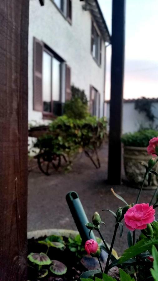 Miltons Country Lodge Lower Langford Exteriör bild